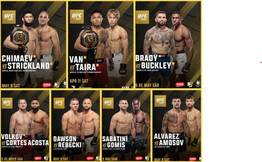 UFC 328 ottelu