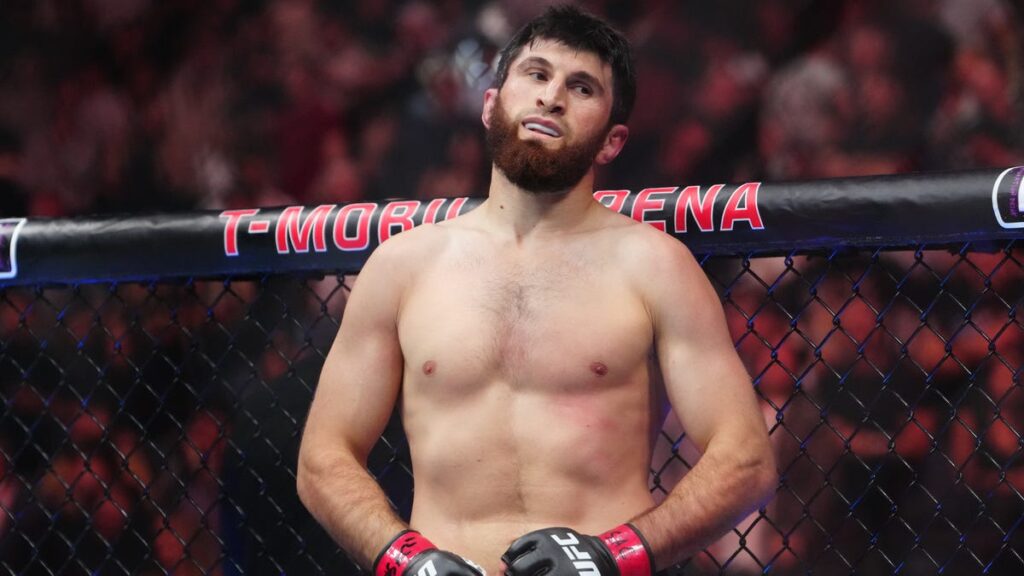 Magomed Ankalaev haluaa kohdata Paulo Costan - MMA-uutinen