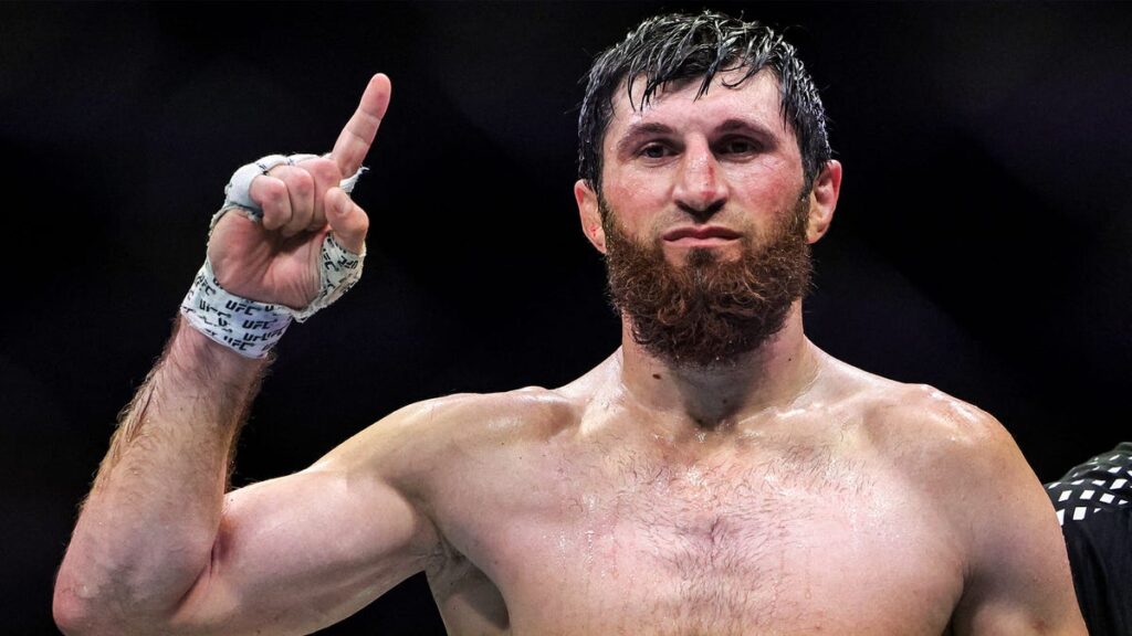 Magomed Ankalaev ja Paulo Costa: Ottelu kärkipaikasta välisarjassa? - MMA-uutinen